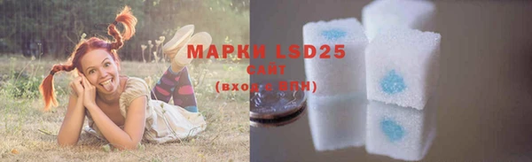 прущая мука Елабуга