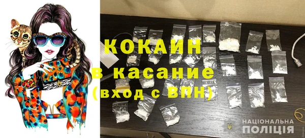 сатива Надым