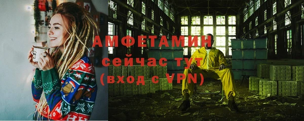 сатива Надым